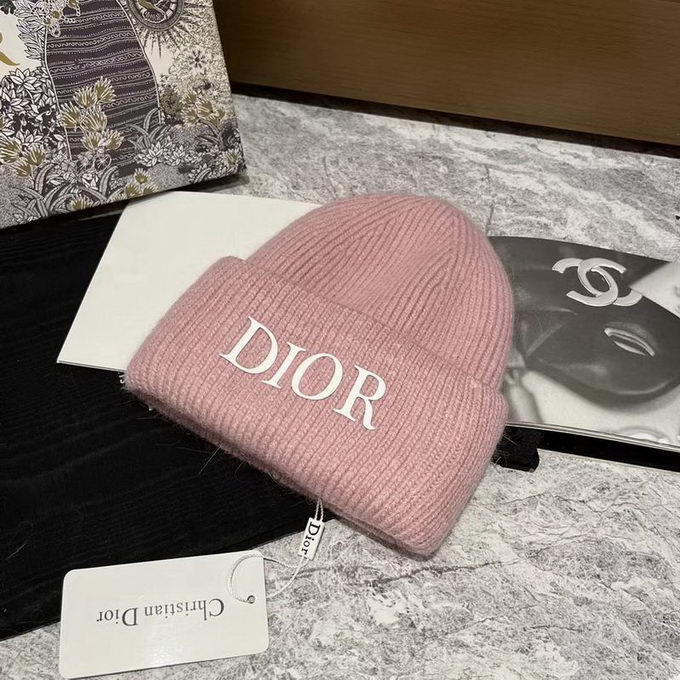 Dior Beanie ID:20221117-143